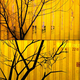 Illustration for article titled Comparing Video Game Screenshots to Real Photographs